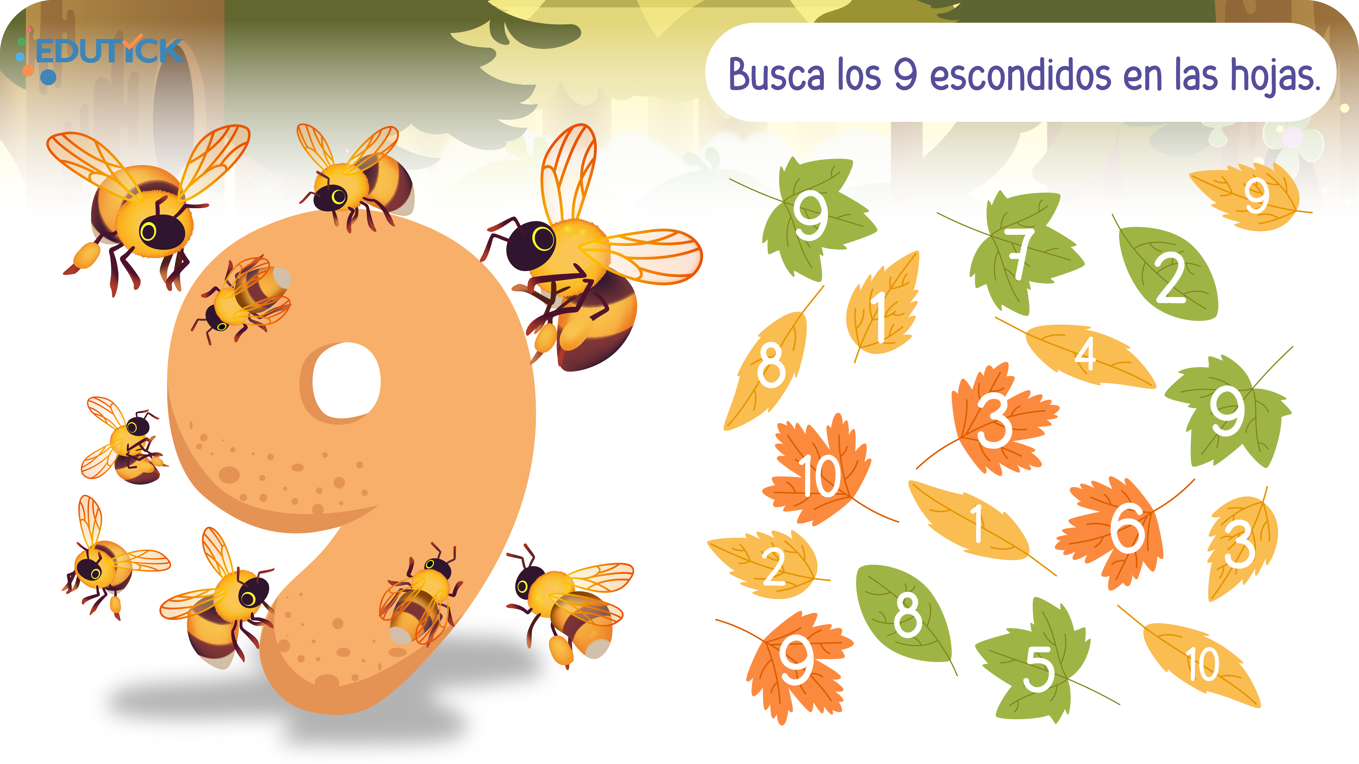 Recurso 29